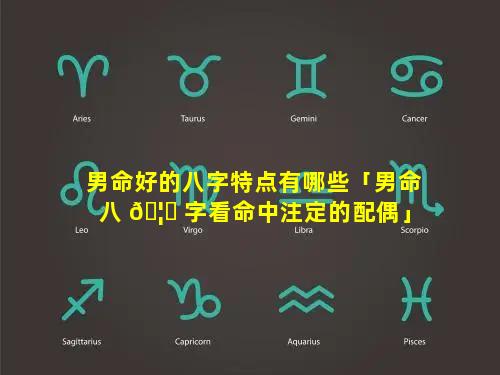 男命好的八字特点有哪些「男命八 🦁 字看命中注定的配偶」